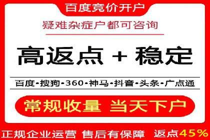 百度竞价广告投放案例剖析